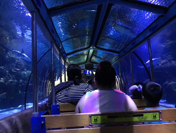 Downtown Aquarium train shark voyage Houston