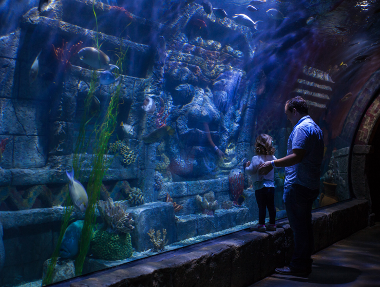 Houston Downtown Aquarium