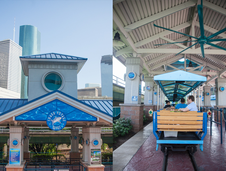 Downtown Aquarium train shark voyage