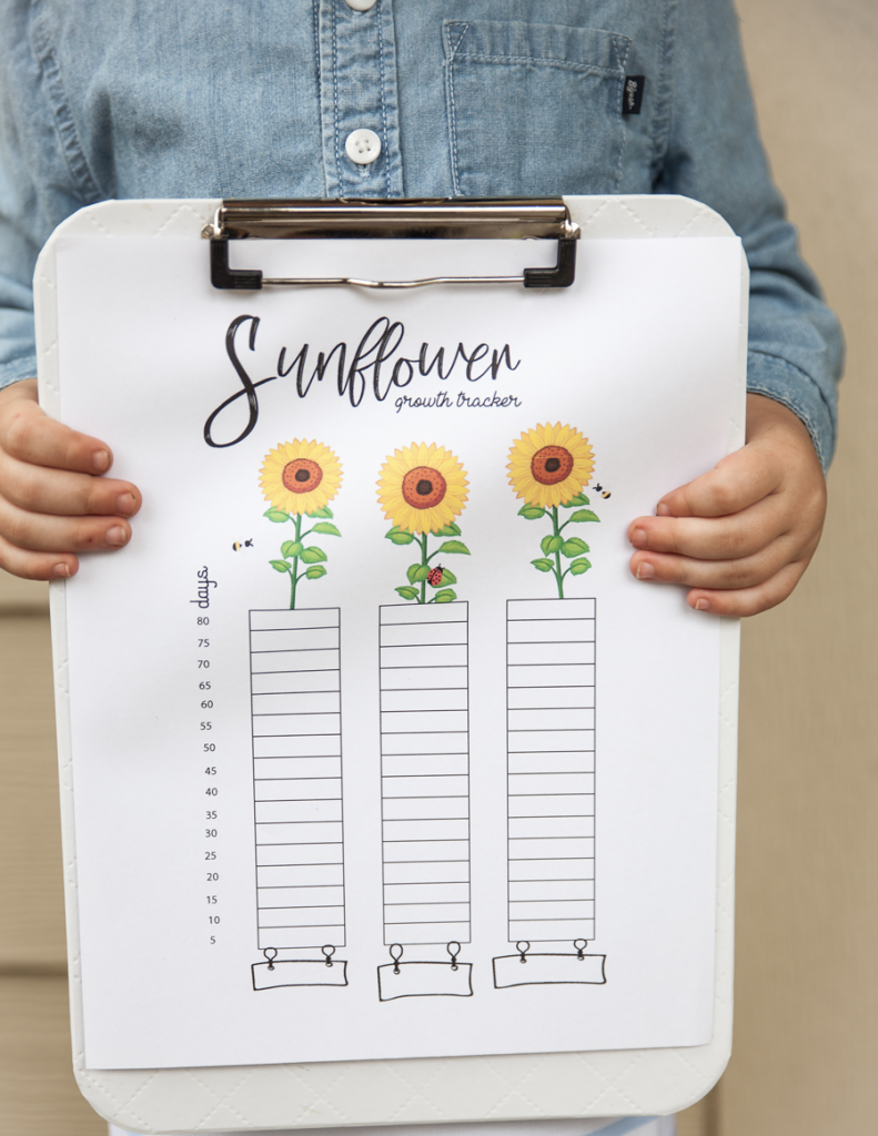 Sunflower growth tracker Spoonful of Joy